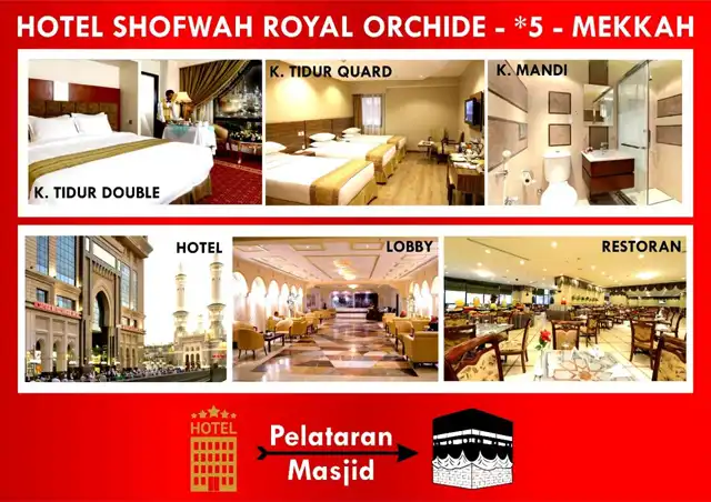 Shofwah Royal Orchide